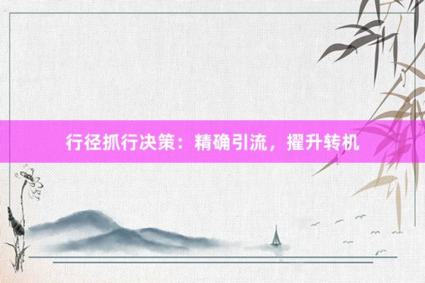 行径抓行决策：精确引流，擢升转机