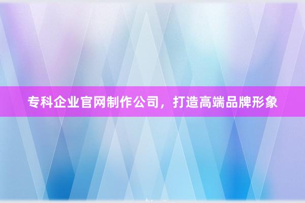 专科企业官网制作公司，打造高端品牌形象